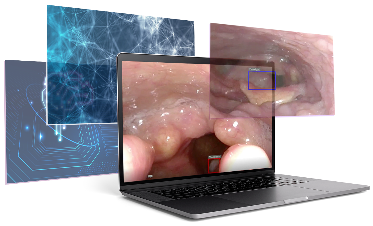 zeno pathology